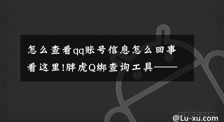 怎么查看qq账号信息怎么回事看这里!胖虎Q绑查询工具——一款QQ账号信息查询工具