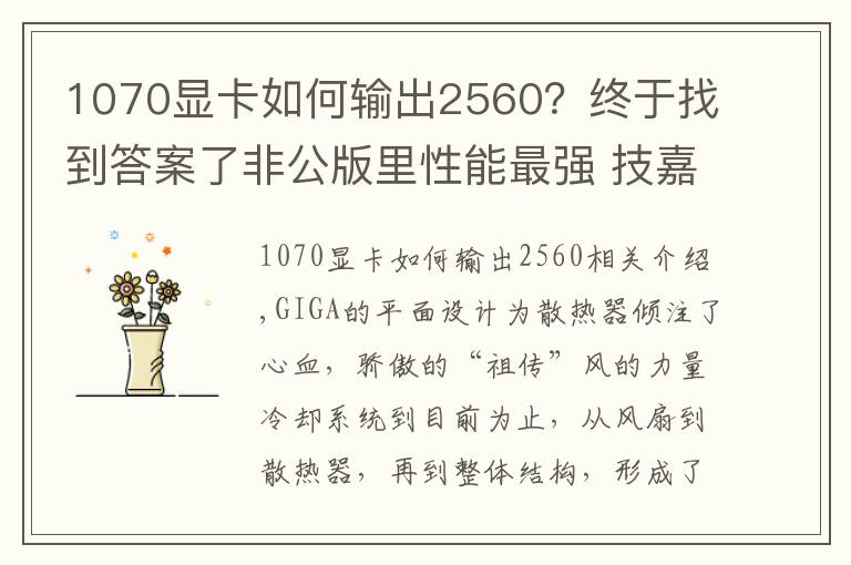 1070显卡如何输出2560？终于找到答案了非公版里性能最强 技嘉祖传风之力GTX 1070显卡测试