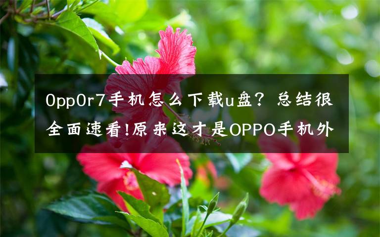 0pp0r7手机怎么下载u盘？总结很全面速看!原来这才是OPPO手机外接U盘的正确方法，用了半年多都搞错了