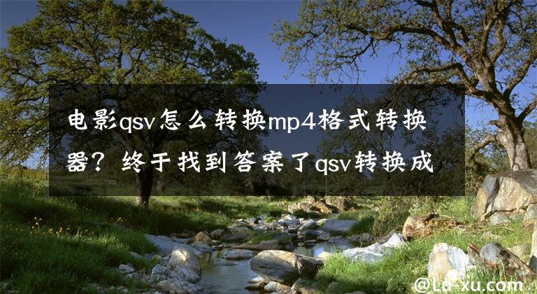 电影qsv怎么转换mp4格式转换器？终于找到答案了qsv转换成mp4格式，大部分新手都用这个软件文章配图