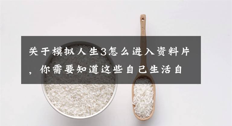 关于模拟人生3怎么进入资料片，你需要知道这些自己生活自己经营 出色模拟经营类手游推荐文章配图