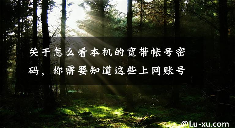 关于怎么看本机的宽带帐号密码，你需要知道这些上网账号丢失，教你一招自动找回来文章配图