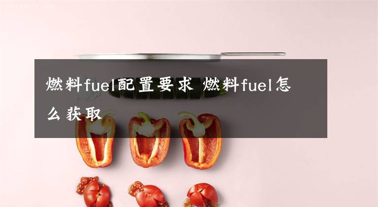 燃料fuel配置要求 燃料fuel怎么获取