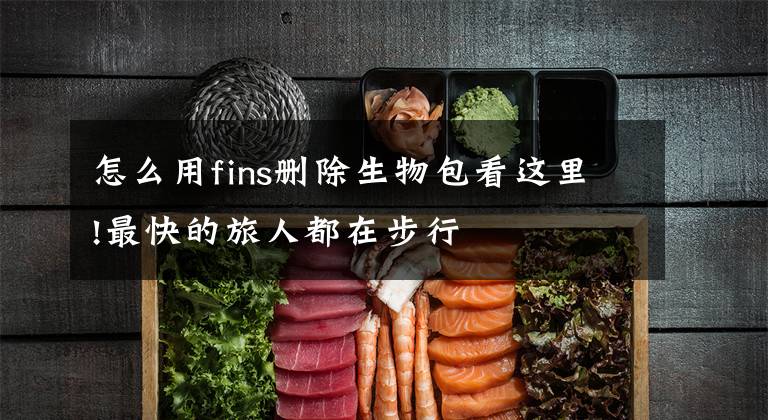 怎么用fins删除生物包看这里!最快的旅人都在步行文章配图