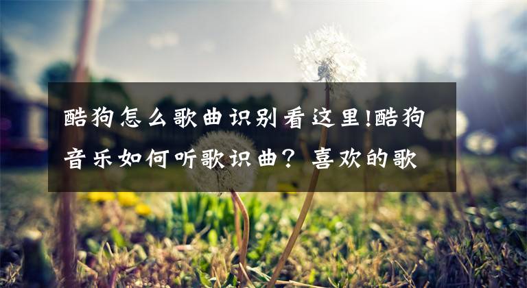 酷狗怎么歌曲识别看这里!酷狗音乐如何听歌识曲？喜欢的歌曲终于知道名字了文章配图
