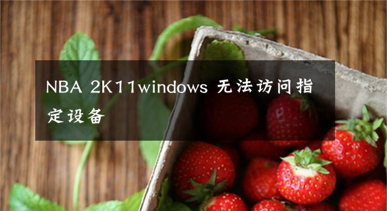 NBA 2K11windows 无法访问指定设备