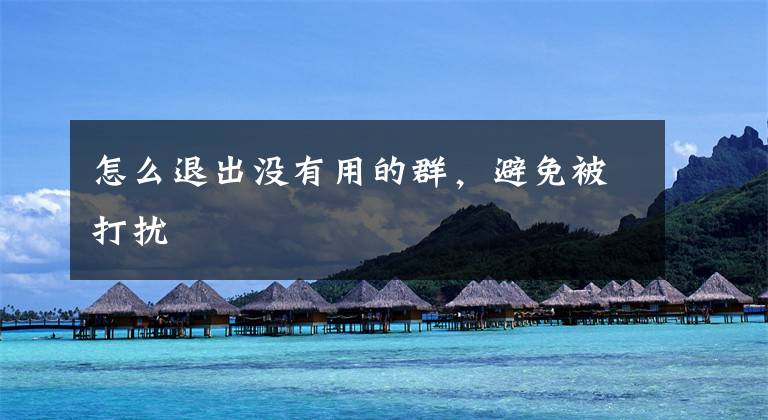 怎么退出没有用的群，避免被打扰文章配图