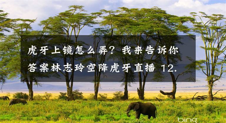 虎牙上镜怎么弄？我来告诉你答案林志玲空降虎牙直播 12.17与你相约《魔灵幻想》文章配图