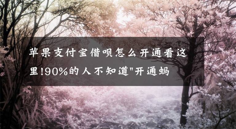 苹果支付宝借呗怎么开通看这里!90%的人不知道"开通蚂蚁借呗"的4种方法