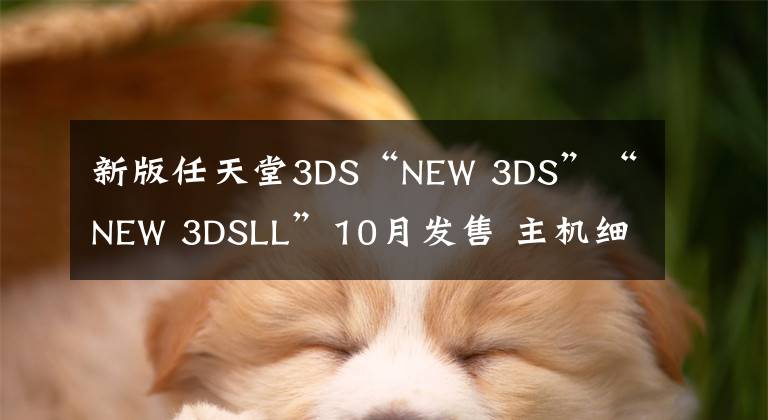 新版任天堂3DS“NEW 3DS”“NEW 3DSLL”10月发售 主机细节解析文章配图