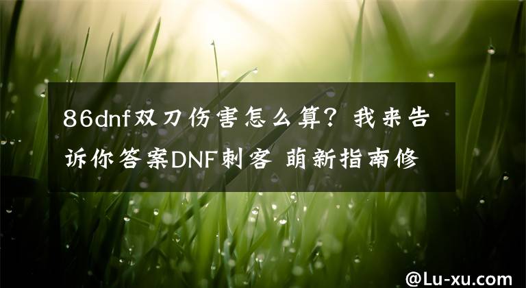 86dnf双刀伤害怎么算？我来告诉你答案DNF刺客 萌新指南修订版