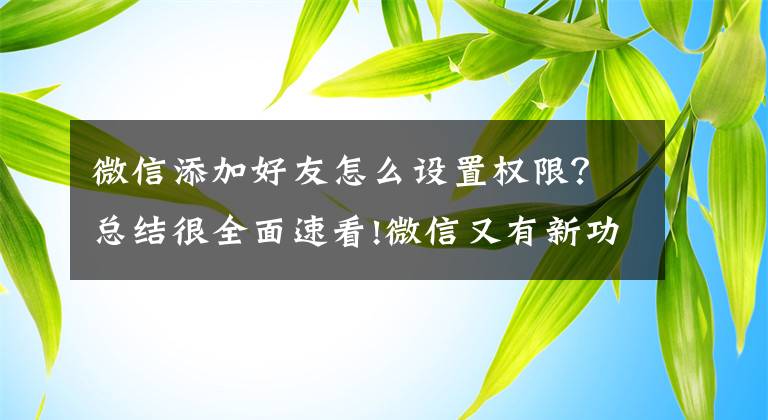 微信添加好友怎么设置权限？总结很全面速看!微信又有新功能了！这次事关删除好友文章配图