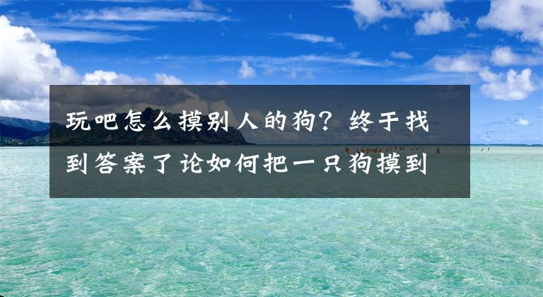 玩吧怎么摸别人的狗？终于找到答案了论如何把一只狗摸到爽的无法自拔！文章配图