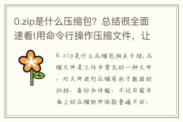 0.zip是什么压缩包？总结很全面速看!用命令行操作压缩文件，让你的工作事半功倍