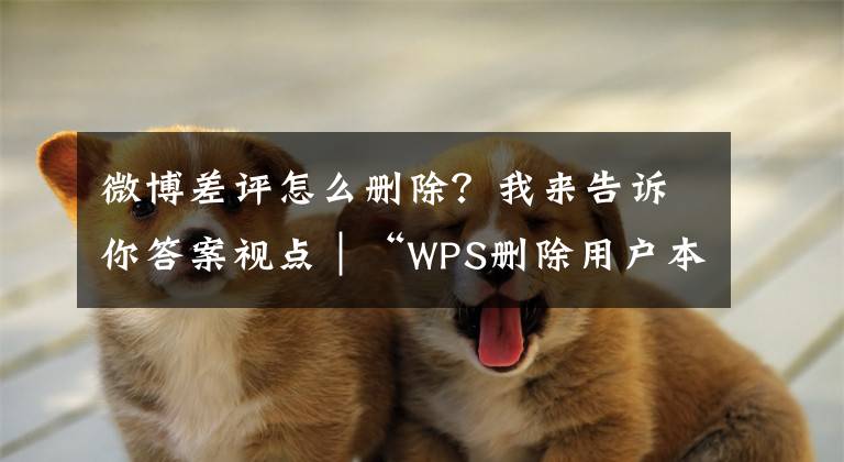 微博差评怎么删除？我来告诉你答案视点｜“WPS删除用户本地文件”风波需要权威结论