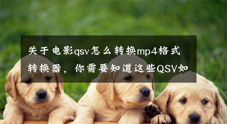 关于电影qsv怎么转换mp4格式转换器，你需要知道这些QSV如何转换为MP4？分享四种实用方法文章配图