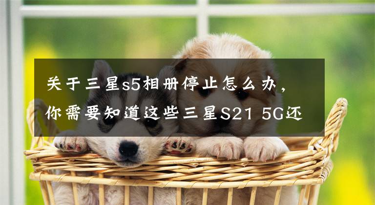 关于三星s5相册停止怎么办，你需要知道这些三星S21 5G还能这么玩？实用有趣功能大盘点文章配图