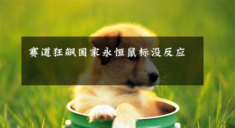 赛道狂飙国家永恒鼠标没反应文章配图