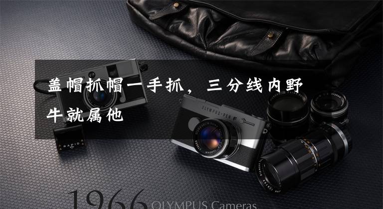 盖帽抓帽一手抓，三分线内野牛就属他文章配图