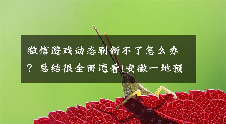 微信游戏动态刷新不了怎么办？总结很全面速看!安徽一地预警：这个App不要下载