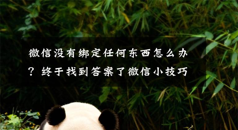 微信没有绑定任何东西怎么办？终于找到答案了微信小技巧分享（四）：微信支付不绑银行卡也一样可以支付文章配图