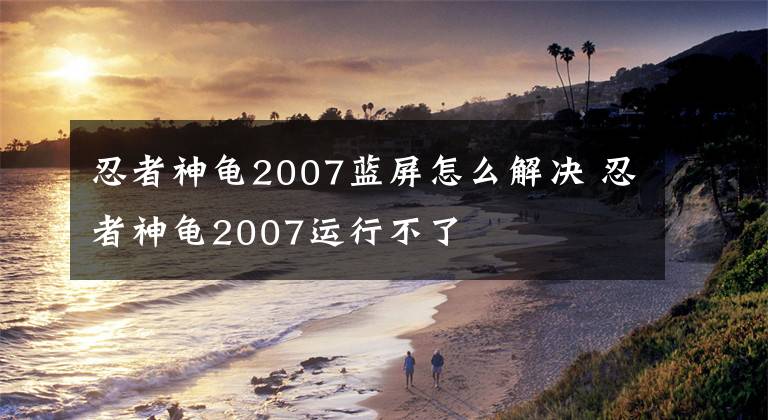 忍者神龟2007蓝屏怎么解决 忍者神龟2007运行不了