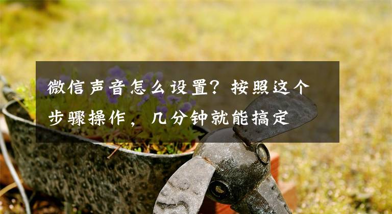 微信声音怎么设置？按照这个步骤操作，几分钟就能搞定文章配图
