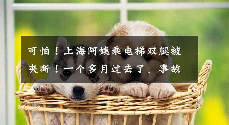 可怕！上海阿姨乘电梯双腿被夹断！一个多月过去了，事故电梯是修是换，居民还在犹豫……文章配图