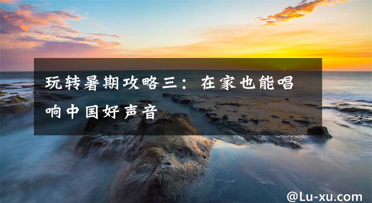 玩转暑期攻略三：在家也能唱响中国好声音文章配图