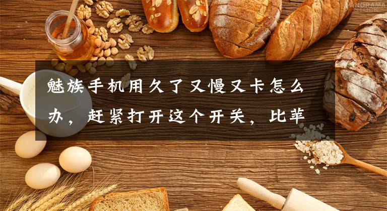 魅族手机用久了又慢又卡怎么办，赶紧打开这个开关，比苹果还快文章配图