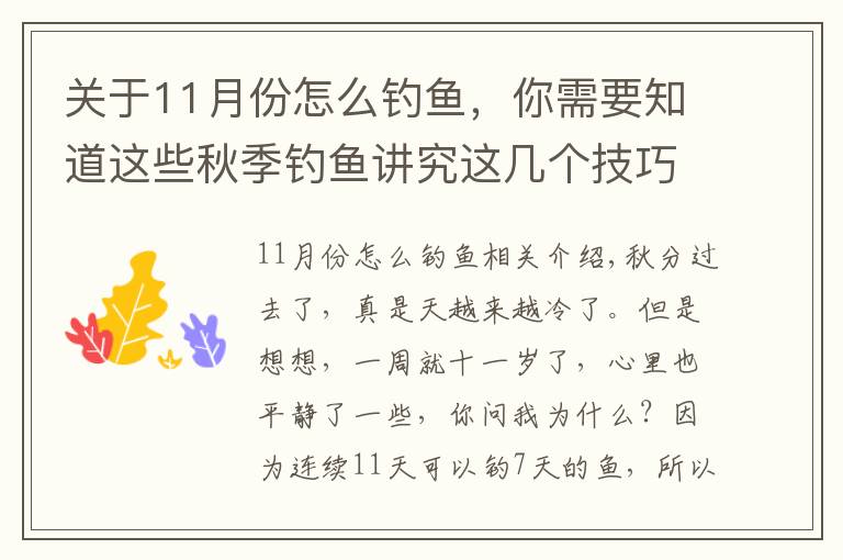 关于11月份怎么钓鱼，你需要知道这些秋季钓鱼讲究这几个技巧，掌握好了仍能爆护