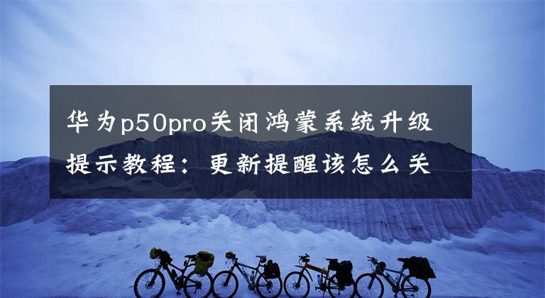 华为p50pro关闭鸿蒙系统升级提示教程：更新提醒该怎么关闭文章配图