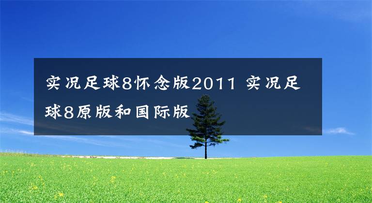 实况足球8怀念版2011 实况足球8原版和国际版