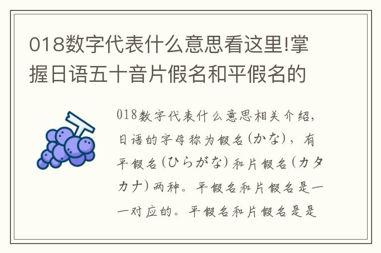 018数字代表什么意思看这里!掌握日语五十音片假名和平假名的作用，轻松学会五十音