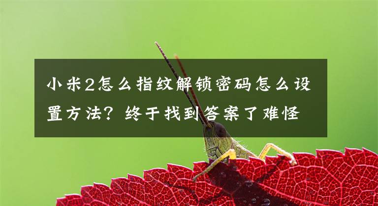 小米2怎么指纹解锁密码怎么设置方法？终于找到答案了难怪小米手机指纹解锁反应慢，原来是这2个开关没关闭，涨知识了文章配图