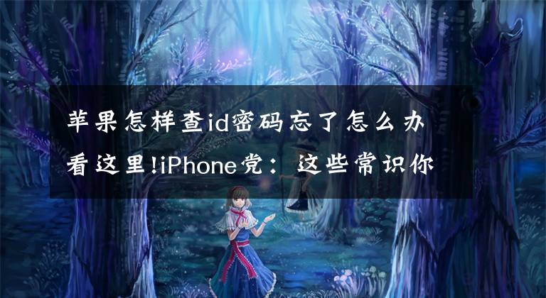 苹果怎样查id密码忘了怎么办看这里!iPhone党：这些常识你知道吗文章配图