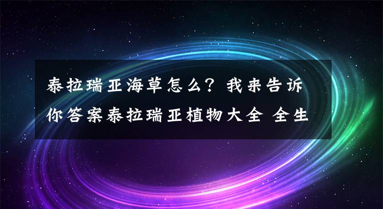 泰拉瑞亚海草怎么？我来告诉你答案泰拉瑞亚植物大全 全生物群落植物图鉴