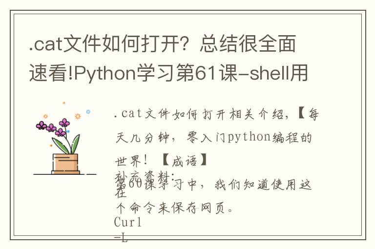 .cat文件如何打开？总结很全面速看!Python学习第61课-shell用cat和less打开文件
