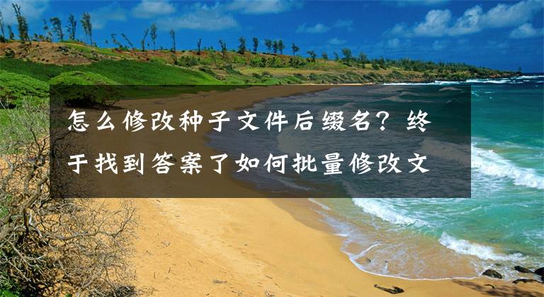 怎么修改种子文件后缀名？终于找到答案了如何批量修改文件后缀名？文章配图