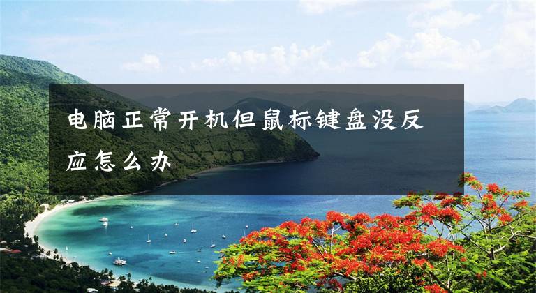 电脑正常开机但鼠标键盘没反应怎么办文章配图