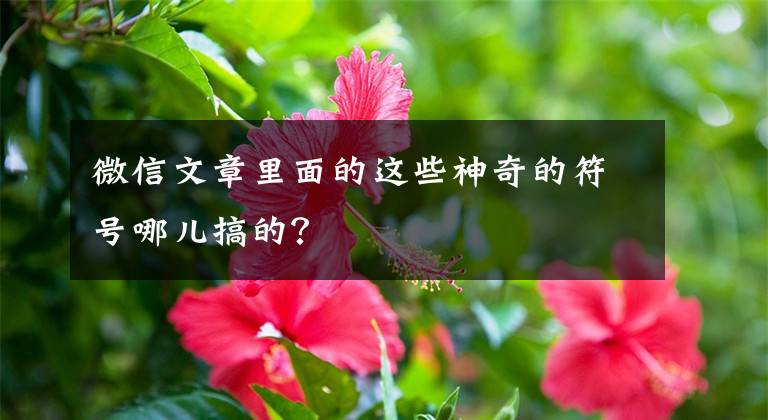 微信文章里面的这些神奇的符号哪儿搞的？文章配图