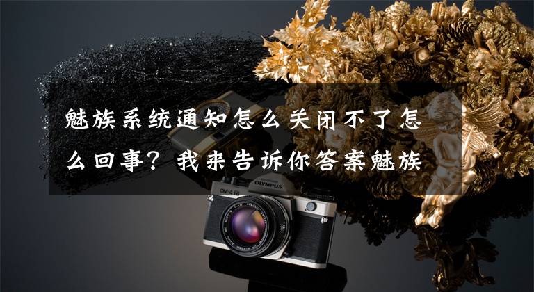 魅族系统通知怎么关闭不了怎么回事？我来告诉你答案魅族升级提示去不掉？一招教你解决文章配图