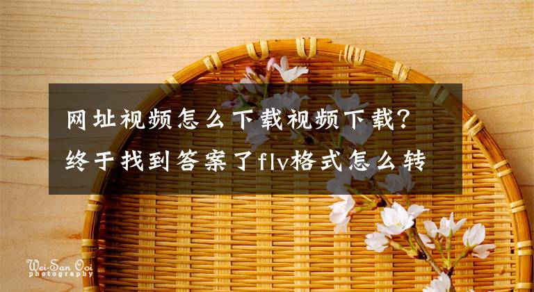 网址视频怎么下载视频下载？终于找到答案了flv格式怎么转换成mp4文章配图