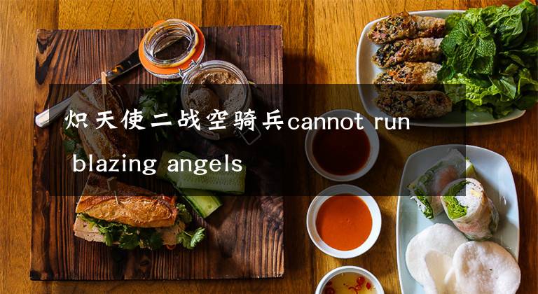 炽天使二战空骑兵cannot run blazing angels