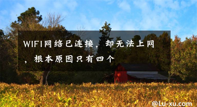 WIFI网络已连接，却无法上网，根本原因只有四个文章配图