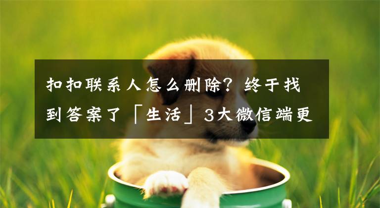 扣扣联系人怎么删除？终于找到答案了「生活」3大微信端更新：批量删除好友 隐藏对话框聊天记录文章配图