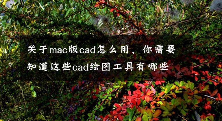 关于mac版cad怎么用，你需要知道这些cad绘图工具有哪些