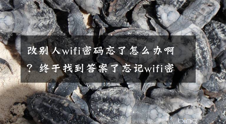 改别人wifi密码忘了怎么办啊？终于找到答案了忘记wifi密码怎么办，技术派教你一招快速找回文章配图