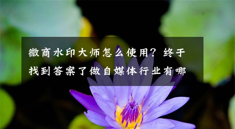 微商水印大师怎么使用？终于找到答案了做自媒体行业有哪些技巧？用什么app操作比较好？值得收藏！文章配图