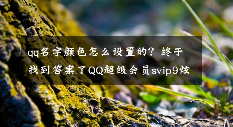 qq名字颜色怎么设置的？终于找到答案了QQ超级会员svip9炫彩版纪念图标在哪领 设置显示方法